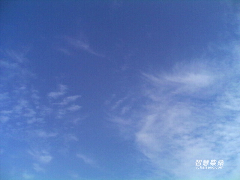 183514qugcmtf2112ei1tx.jpg