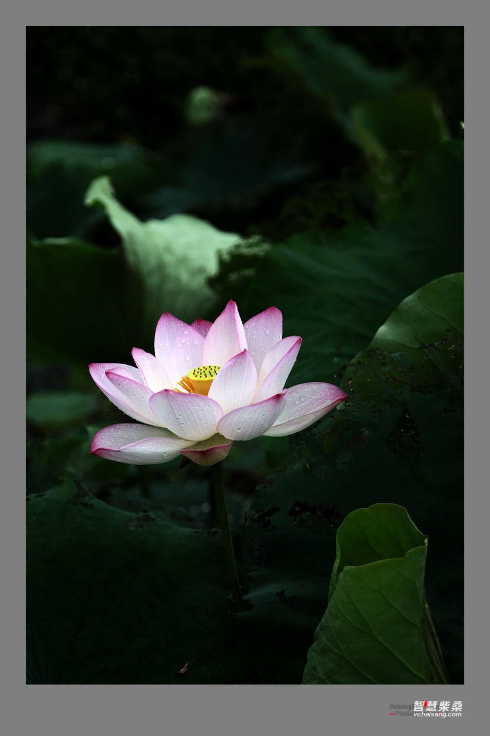 IMG_8146副本.jpg