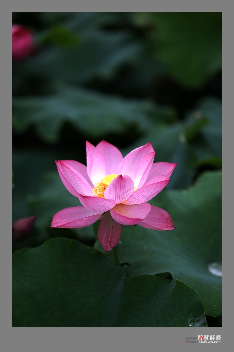 IMG_8173副本.jpg