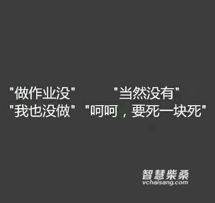 171355kjjpyj5gutu1pdxj.jpg