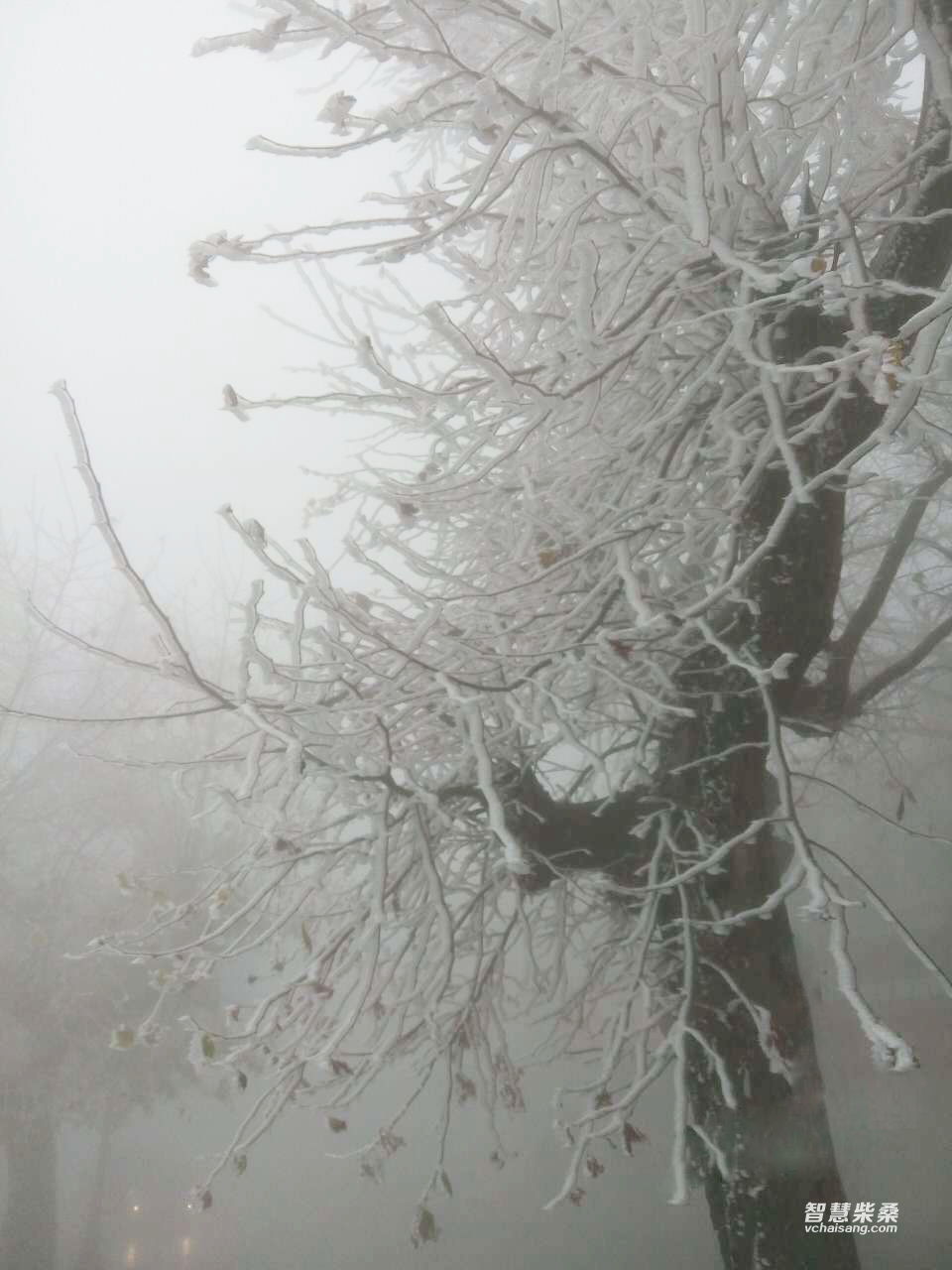 temp_photo-2015-11-25-09.58(1).png