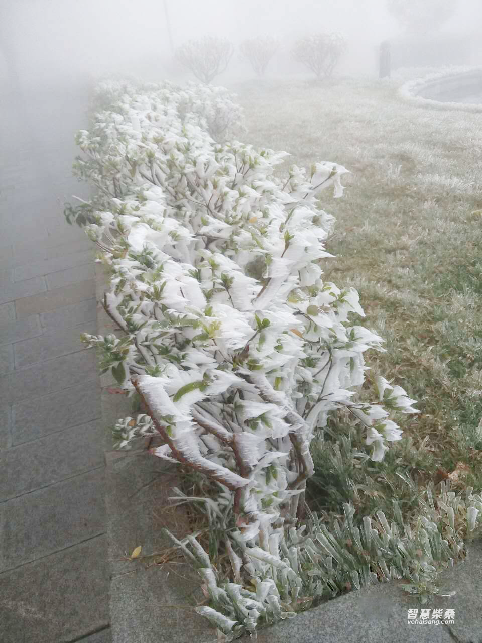temp_photo-2015-11-25-09.58.png
