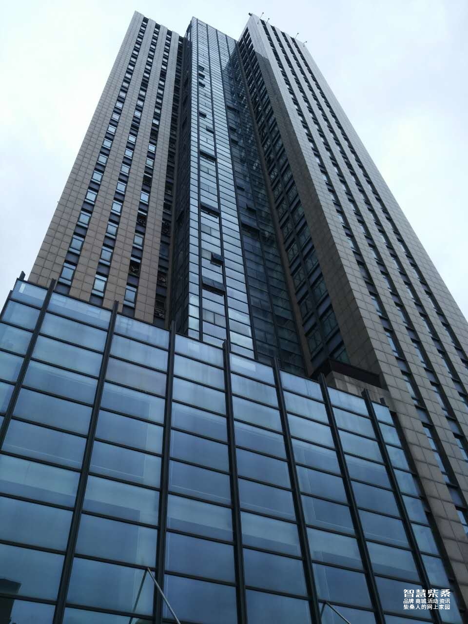 丽晶国际大厦.jpg