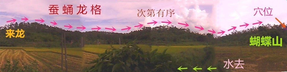蝴蝶山28.jpg