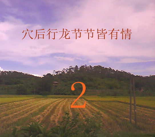 穴山来龙格.......2.jpg