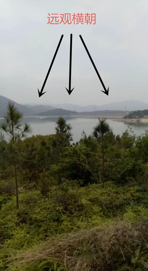 李家风水赢局—3.jpg