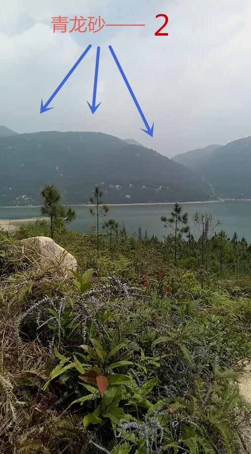 左护青龙—2.jpg