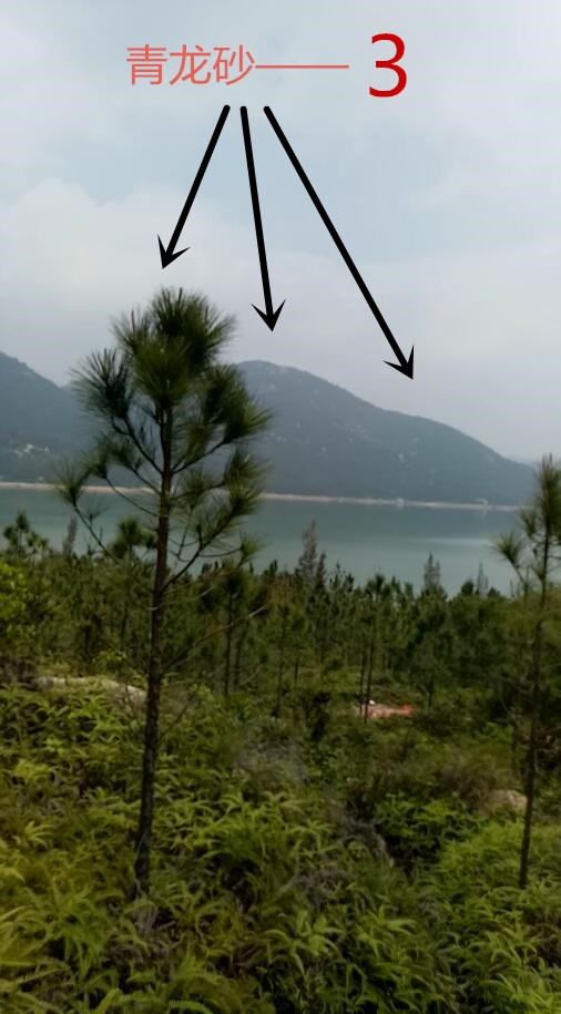 左护青龙—3.jpg