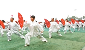 江西省首届国际武术文化节九江县“开打”