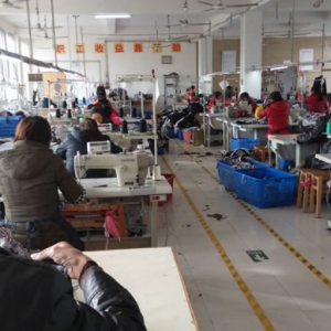 新合镇：紧抓服装产业 壮大镇域经济