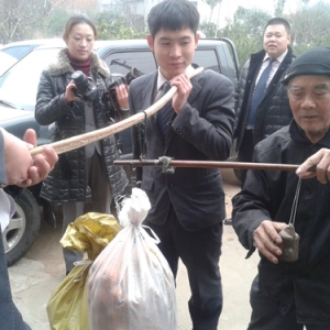 吴大爷桔子未卖着急 爱心人士来采摘购买