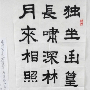 九江县二中举行“校园文化艺术节”书法比赛