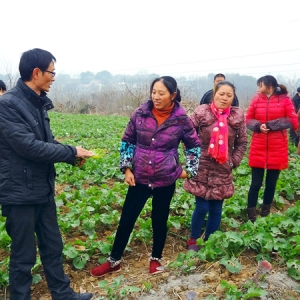 “田间课堂”培育新型职业农民
