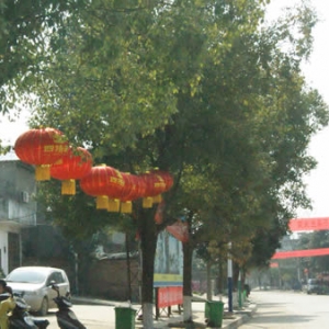城门乡：大红灯笼高高挂 浓浓年味进万家