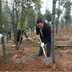 九江县财政局积极参加新春植树团拜活动