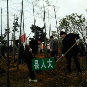 九江县人大常委会积极参加新春植树团拜活动