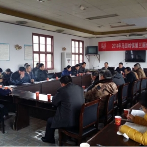 马回岭镇春节收假后迅速投入工作状态