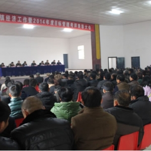 马回岭镇：表彰先进集体和个人