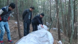 九江县林业局赴星子县学习交流松材线虫病防治工作