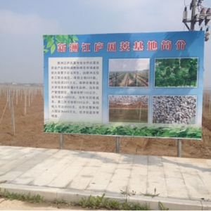新洲江庐瓜蒌基地“诞生”