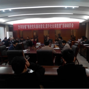 沙河街镇召开“推进党风廉政建设、提升社会满意度”活动动员会 ...