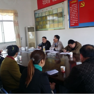 县委组织部到马回岭镇召开党代表座谈会