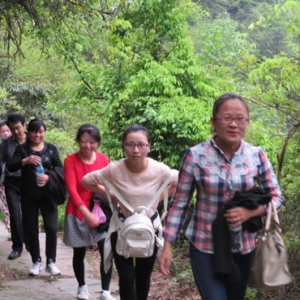 沙河开发区小学举行“庆五一”教师登山比赛活动
