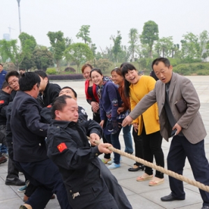 职工拔河庆五一