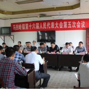 马回岭镇召开第十六届人民代表大会第五次会议