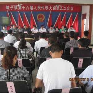 城子镇召开第十六届人民代表大会第五次会议