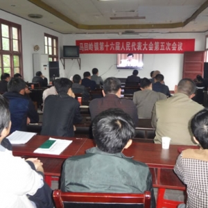 马回岭镇认真收看全省“三严三实”专题教育部署会暨专题党课视频会 ...
