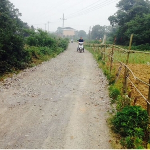城门乡石桥村：勤修路，保畅通，便出行