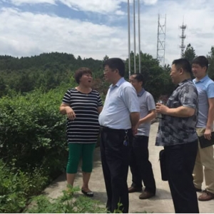 市委农工部到岷山乡考察惠农信贷通落实情况