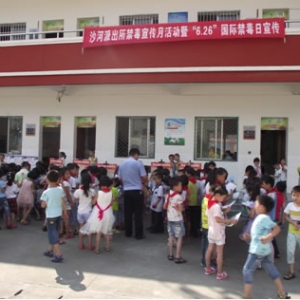 沙河街镇中心小学开展禁毒宣传教育活动