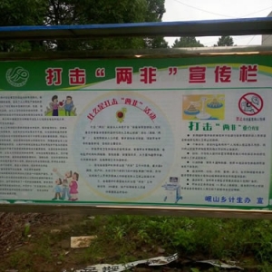 岷山乡：打击“两非”需“宣”“治”结合