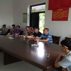 沙河开发区积极组织收看全省推进党建“三大工程”暨农村基层党建工作视频会议 ...