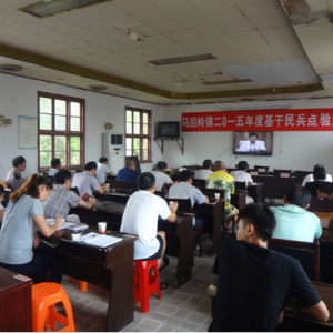 马回岭镇认真收看全省推进党建“三大工程”暨农村基层党建工作视频会 ...