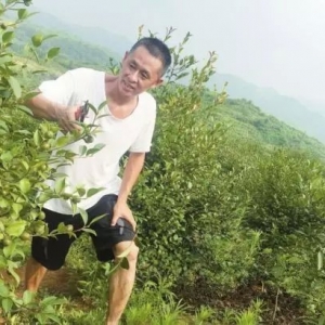 从长途大巴老板到农庄园主的华丽转身