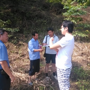岷山乡积极调解山林纠纷维护社会和谐稳定