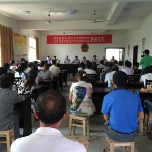 柴桑促进会q新合分会捐资助学发放仪式在新合举行