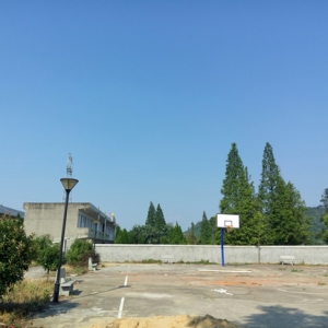 城门乡加强农村中小学校舍维修和建设