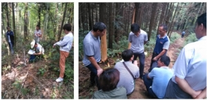 岷山乡林管站积极主动配合县局搞好林木砍伐设计
