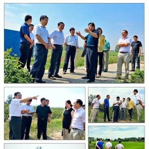 国家土地督察南京局来九江县核查土地例行督察整改工作