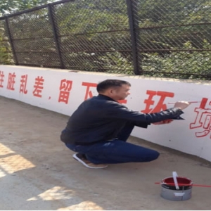 沙河开发区农村环境治理有效开展