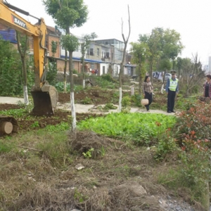 重拳整治违法占用公路绿化带行为