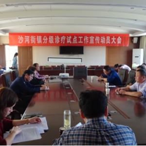 沙河街镇召开分级诊疗试点工作宣传动员会