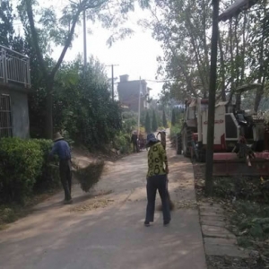 江洲镇集中清扫陈年垃圾