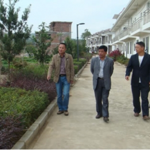 九江县开展新农村建设点绿化项目验收