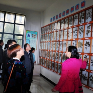 县知青联赴森林标本馆、凌华蔬菜基地参观调研