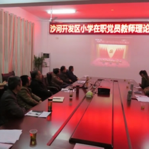 沙河开发区小学召开在职党员教师理论学习专题会